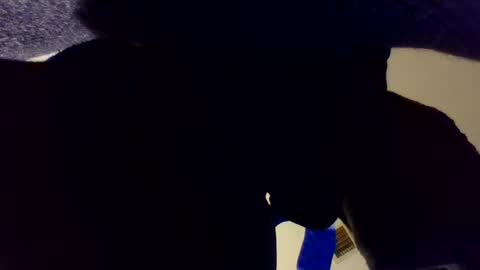 buckoykang online show from October 11, 4:06 am