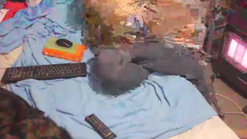 bufu21 online show from February 2, 9:56 pm