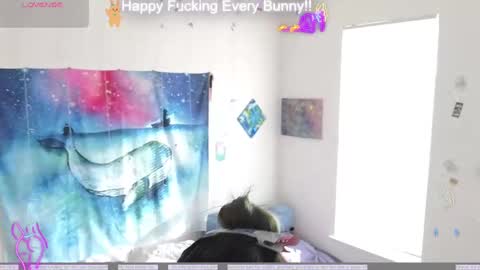 Snapshot of bunnycheekz chatting on December 6, 7:06 pm Tokki  bunny  online show from December 6, 7:06 pm