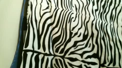 bustinfree online show from December 15, 6:26 pm