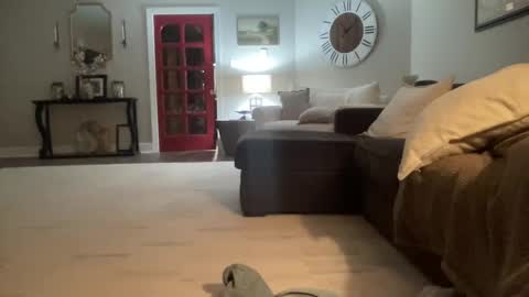 bwc2465 online show from February 15, 4:03 am