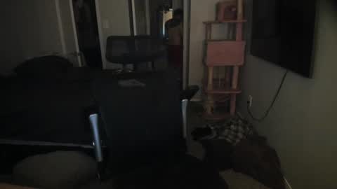 c00ki3m0nstr online show from June 21, 3:24 am