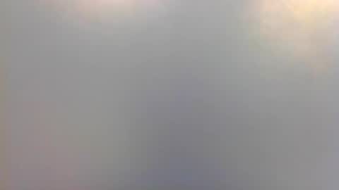 caco4639 online show from December 21, 4:46 pm