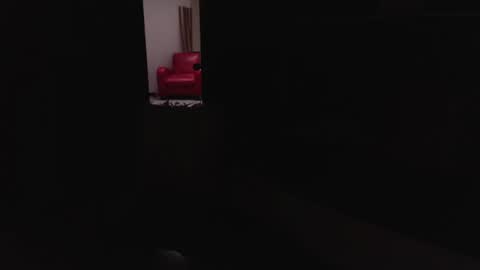 Caesar online show from December 3, 7:17 pm