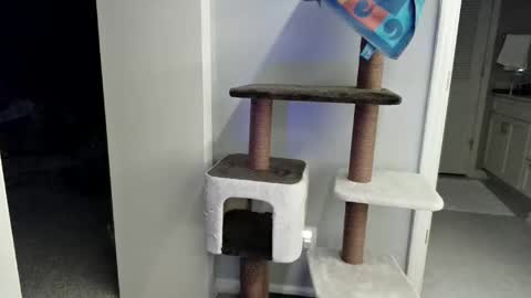 cammyman6900 online show from March 21, 4:18 am