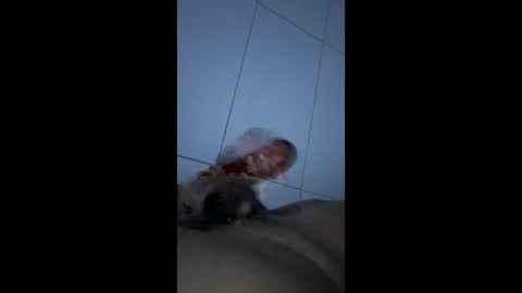 carlos347706 online show from February 13, 2:04 am