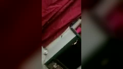 carrilloeverardo219 online show from July 9, 7:23 am