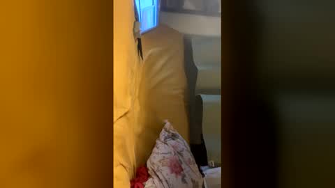 carrrigggg online show from February 28, 7:40 pm