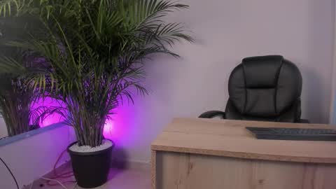 Cataleya online show from February 16, 1:20 pm