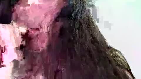 Cat Curvy online show from February 4, 2:37 am