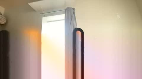 catsplace online show from December 21, 4:46 pm