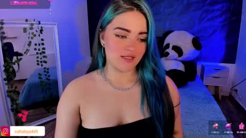  Catta online show from February 6, 8:02 pm