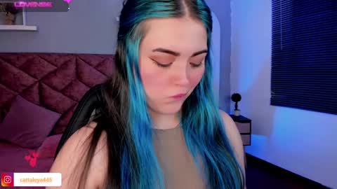  Catta online show from January 25, 6:34 am