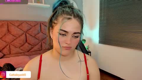  Catta online show from February 14, 9:24 am