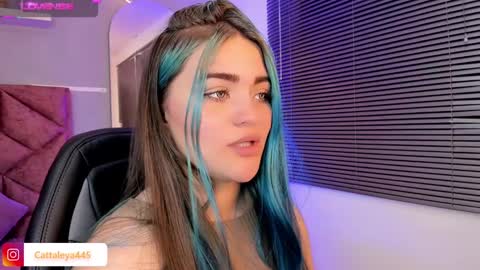  Catta online show from February 19, 7:28 am