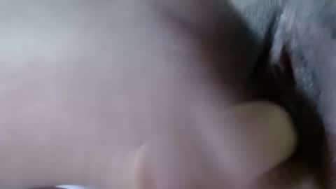 cattleya online show from December 21, 8:18 am