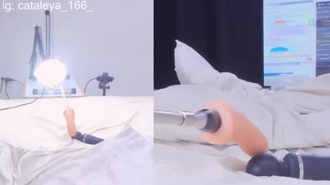 Cattleya Annie  online show from February 21, 2:06 am