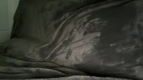 cbstiff online show from January 10, 12:38 am