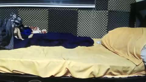 cezar online show from November 1, 3:39 am