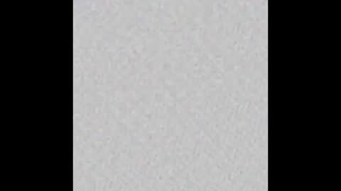 Charlotte online show from February 6, 8:33 pm