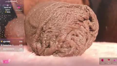 Char online show from March 10, 1:01 am