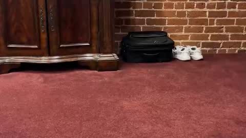 chasemike93 online show from November 2, 6:57 am