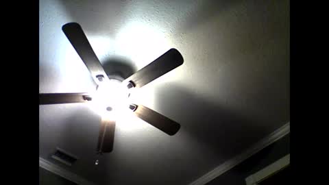 CHINO online show from April 16, 12:44 am