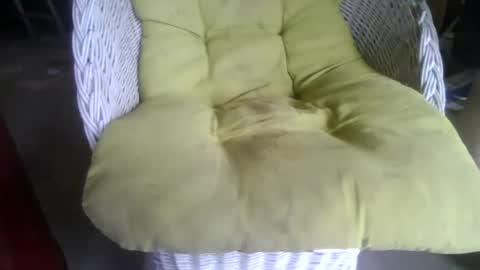 chubyluver11896 online show from October 2, 5:56 pm