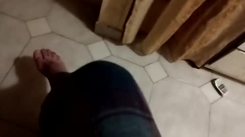 ciccilli online show from November 1, 12:44 am