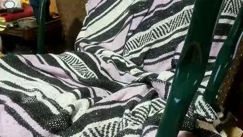 Clay online show from January 13, 11:01 pm