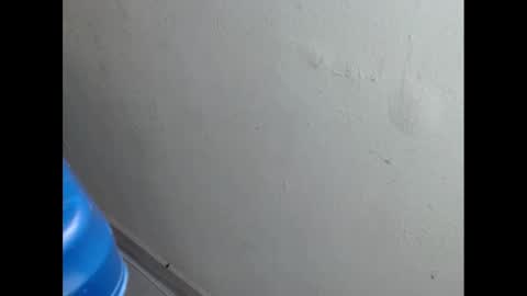 cockfanx online show from February 21, 1:55 pm