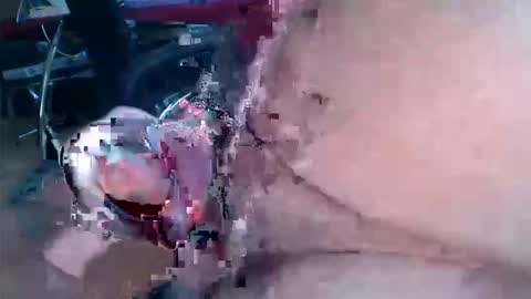 colourlight online show from March 13, 9:34 am