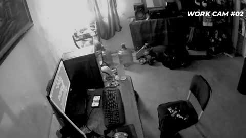 cometodani online show from April 16, 8:20 pm