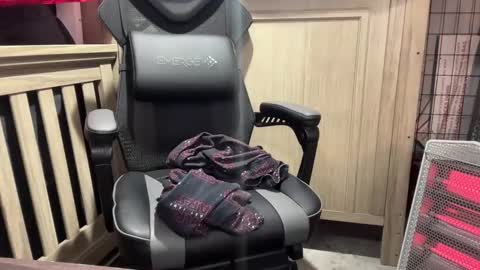 cortexdex online show from September 20, 2:36 am