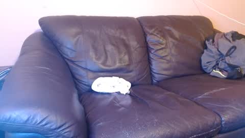 Tony online show from March 1, 5:20 am