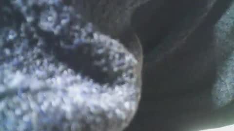 cplmature87 online show from February 20, 11:10 pm