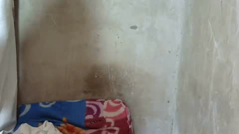 crazy_ebony256 online show from July 3, 9:25 am