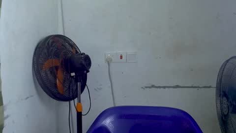 creamyxpussyx online show from July 26, 10:35 am