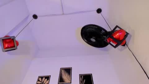 criss_zuri online show from April 9, 11:49 am