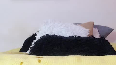    online show from January 15, 1:45 am