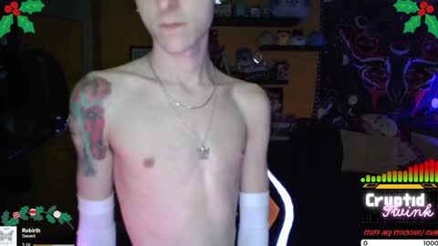 CryptidTwink online show from December 24, 4:55 am