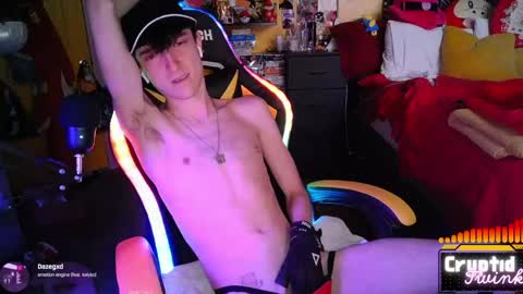 CryptidTwink online show from April 14, 6:16 am