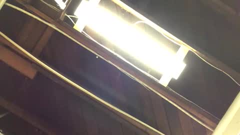 cubinheat online show from November 29, 9:55 pm