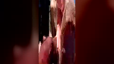 Cum Daddy online show from June 29, 5:23 pm
