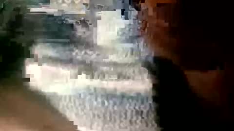 kiwi bloke online show from October 7, 8:43 am