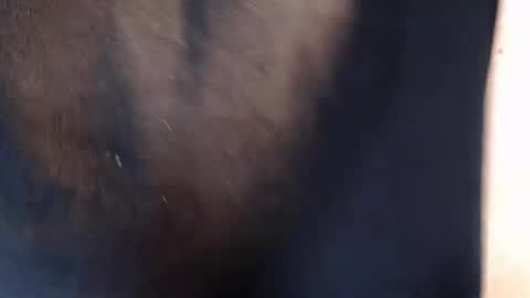 ask me online show from November 25, 7:56 pm