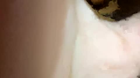 curvy24777 online show from February 15, 7:06 pm