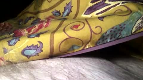 Steve online show from February 10, 11:34 pm