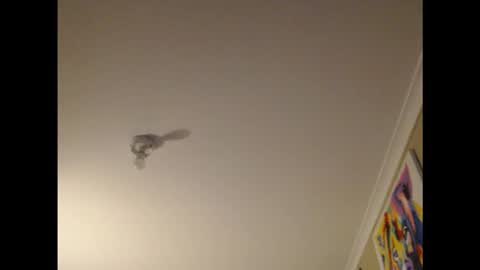 d____w online show from February 16, 8:23 am