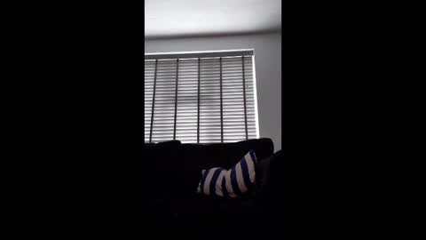 dadbod3768764 online show from March 10, 10:08 am